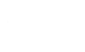 TMT-Media